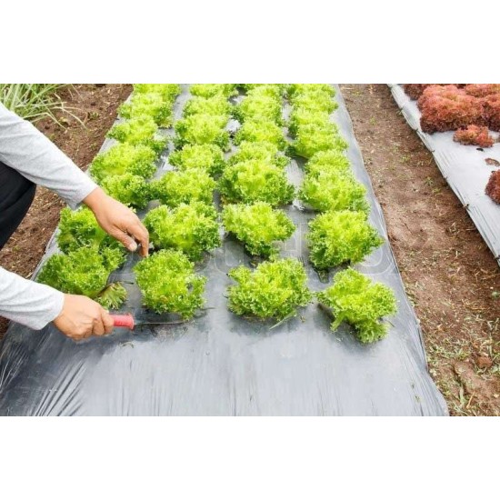 Φίλμ Εδαφοκάλυψης Μαύρο 20μm Δάιος 1,2Χ1500μ