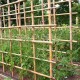 Καλάμια Bamboo Στήριξης φυτών Bamboo Πάχους 30-34 mm Ύψος 300 cm 30 τεμάχια