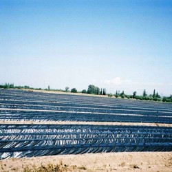 Φύλλο Εδαφοκάλυψης 15gr Μαύρο Αχαικά Πλαστικά 0,8Χ3000 μέτρα