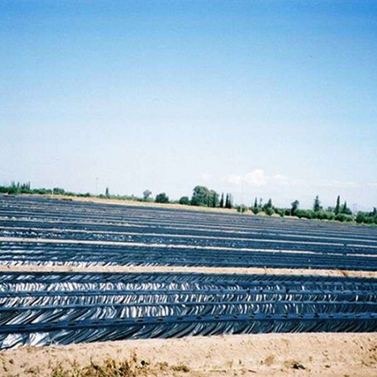Φύλλο Εδαφοκάλυψης 15gr Μαύρο ΠΛΑΣΤΙΚΑ ΚΡΗΤΗΣ 0,8Χ2000 μέτρα