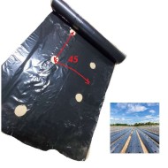 Φύλλο Εδαφοκάλυψης 30gr Μαύρο με Έτοιμες Τρύπες ANA 45εκ Zig Zag 1.4m X 500m για Λάχανο Κουνουπίδι Μπρόκολο Καλαμπόκι Πιπεριές Φράουλες