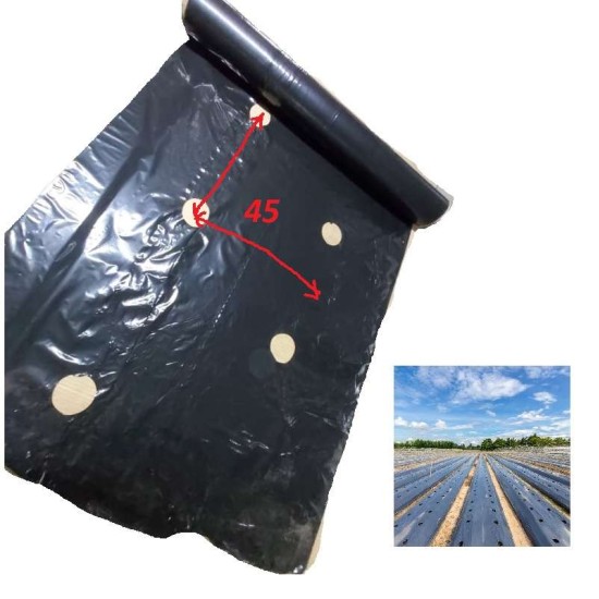 Φύλλο Εδαφοκάλυψης 30gr Μαύρο με Έτοιμες Τρύπες ANA 45εκ Zig Zag 1.4m X 500m για Λάχανο Κουνουπίδι Μπρόκολο Καλαμπόκι Πιπεριές Φράουλες