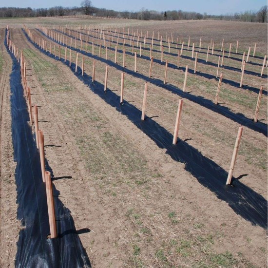 Εδαφοκάλυψη 100 γραμμαρίων Γεωύφασμα Εδαφοκάλυψη 100 γραμμαρίων Γεωύφασμα