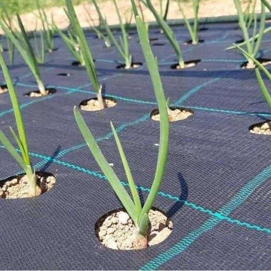 Εδαφοκάλυψη 100 γραμμαρίων Γεωύφασμα Εδαφοκάλυψη 100 γραμμαρίων Γεωύφασμα