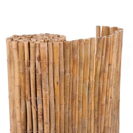 Καλαμωτή Bamboo Tonkin 14-22μμ με Εσωτερικό Σύρμα Γαλβανιζέ 1,5m X 3m