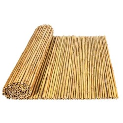 Καλαμωτή Bamboo Tonkin 14-22μμ με Εσωτερικό Σύρμα Γαλβανιζέ 1m X 3m