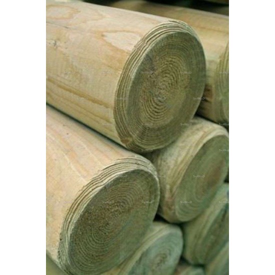 ΚΟΡΜΟΣ ΤΟΡΝΟΥ ΙΣΙΟΣ 010 Χ 300 cm