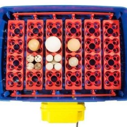 Εκκολαπτική Κλωσσομηχανή Real Plus 24 θέσεων Αυτόματη Borotto Εκκολαπτική Κλωσσομηχανή Real Plus 24 θέσεων Αυτόματη Borotto