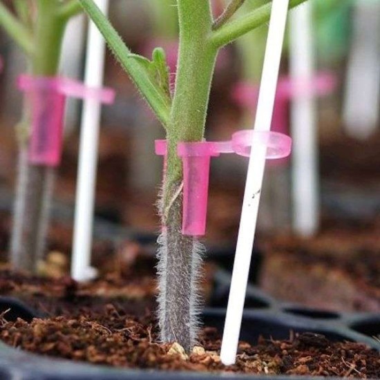 Στήριγμα Εμβολιασμένων Φυτών Φ 3,6 Υψος 20 πόντους 8.000 τεμάχια
