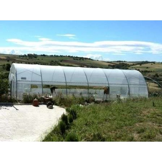 Θερμοκήπιο Τύπου Τούνελ Διάστασης 9 X 100, 900 Τ.Μ.