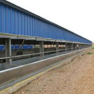 Προβατοστάσιο Αναθρεπτήριο 12μ Χ 15μ με Σκελετό IPE (ήτα)