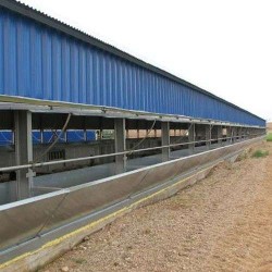 Προβατοστάσιο Αναθρεπτήριο 12μ Χ 15μ με Σκελετό IPE (ήτα)