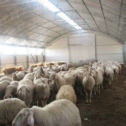 ΠΡΟΒΑΤΟΣΤΑΣΙΟ ΘΕΡΜΟΚΗΠΙΑΚΟΥ ΤΥΠΟΥ (TOLL) 12m ΜΕ ΑΠΑΛΛΑΓΗ ΟΙΚΟΔΟΜΙΚΗΣ ΑΔΕΙΑΣ με Σκελετό IPE (ήτα)