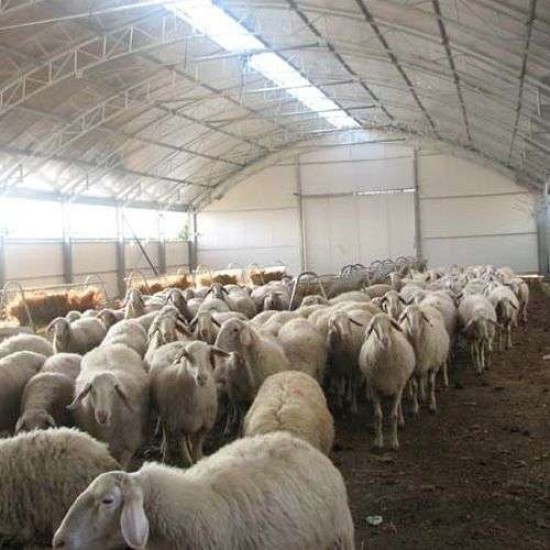 ΠΡΟΒΑΤΟΣΤΑΣΙΟ ΘΕΡΜΟΚΗΠΙΑΚΟΥ ΤΥΠΟΥ (TOLL) 9,6m ΜΕ ΑΠΑΛΛΑΓΗ ΟΙΚΟΔΟΜΙΚΗΣ ΑΔΕΙΑΣ με Σκελετό IPE (ήτα)