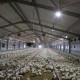ΠΤΗΝΟΤΡΟΦΕΙΟ ΘΕΡΜΟΚΗΠΙΑΚΟΥ ΤΥΠΟΥ 11μ ΜΕ ΑΠΑΛΛΑΓΗ ΟΙΚΟΔΟΜΙΚΗΣ ΑΔΕΙΑΣ 40% Κάλυψη 