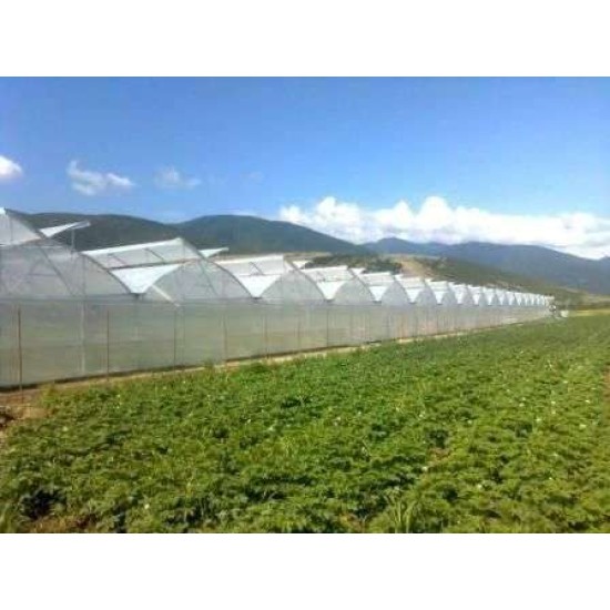Θερμοκήπιο τύπου Πολυτούνελ τιμή με το τετραγωνικό (Ελάχιστη Παραγγελία 1000 τ.μ.)