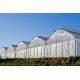 Θερμοκήπιο τύπου Πολυτούνελ τιμή με το τετραγωνικό (Ελάχιστη Παραγγελία 1000 τ.μ.)