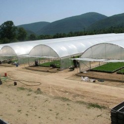 Θερμοκήπιο τύπου Τούνελ πλάτους 9μ τιμή με το τετραγωνικό (Ελάχιστη Παραγγελία 1000 τ.μ.)