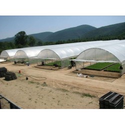 Θερμοκήπιο τύπου Τούνελ πλάτους 9μ τιμή με το τετραγωνικό (Ελάχιστη Παραγγελία 1000 τ.μ.)