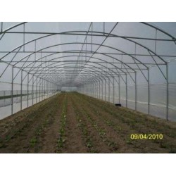 Θερμοκήπιο τύπου Τούνελ πλάτους 9μ τιμή με το τετραγωνικό (Ελάχιστη Παραγγελία 1000 τ.μ.)