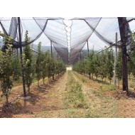 Διχτυοκήπιο Αντιχαλαζικό