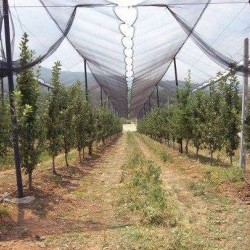 Διχτυοκήπιο Αντιχαλαζικό Διχτυοκήπιο Αντιχαλαζικό