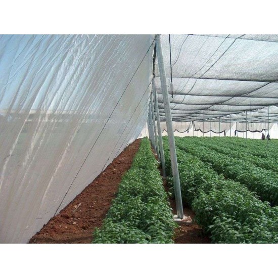 Διχτυοκήπιο Γενικά