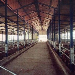 ΒΟΥΣΤΑΣΙΟ ΘΕΡΜΟΚΗΠΙΑΚΟΥ ΤΥΠΟΥ (TOLL) 10,5m ΠΛΑΤΟΣ ΜΕ ΑΠΑΛΛΑΓΗ ΟΙΚΟΔΟΜΙΚΗΣ ΑΔΕΙΑΣ