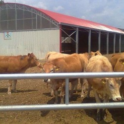 ΒΟΥΣΤΑΣΙΟ ΘΕΡΜΟΚΗΠΙΑΚΟΥ ΤΥΠΟΥ (TOLL) 10,5m ΠΛΑΤΟΣ ΜΕ ΑΠΑΛΛΑΓΗ ΟΙΚΟΔΟΜΙΚΗΣ ΑΔΕΙΑΣ