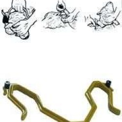 Εργαλείο ακινητοποίησης αιγοπροβάτων , Large