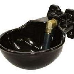 ΠΟΤΙΣΤΡΑ ΓΛΩΣΣΑ ΤΟΙΧΟΥ (ΣΩΛΗΝΟΕΙΔΗ ΒΑΛΒΙΔΑ) 1,7 λίτρα