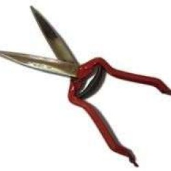 Ψαλίδα κουρέματος προβάτων - 29.5 cm