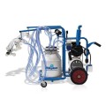 Φορητό Προβάτων