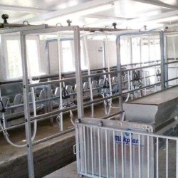 Σταθερή παγίδα αιγοπροβάτων 12 θέσεων