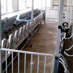 Σταθερή παγίδα αιγοπροβάτων 6 θέσεων
