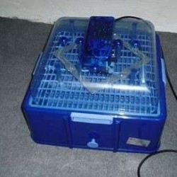 Εκκολαπτική-Επωαστική corti-50 ημιαυτόματη (50 αυγά)