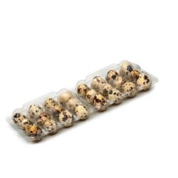 Πλαστικές θήκες Ορτυκιών 24 αυγών (2Χ12) ,κάθε δέμα περιέχει 420τεμ. Πλαστικές θήκες Ορτυκιών 24 αυγών (2Χ12) ,κάθε δέμα περιέχει 420τεμ.