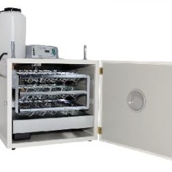 Αυτόματη Επαγγελματική Εκκολαπτική Κλωσσομηχανή FIEM MG 100-150 με Ξύλινα Τοιχώματα