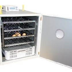 Αυτόματη Επαγγελματική Εκκολαπτική Κλωσσομηχανή FIEM MG 200-300 με Μεταλλικά Τοιχώματα