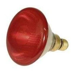 Λάμπα Θερμαντική 'ECONOM' 175 W ΣΚΛΗΡΗΣ ΥΑΛΟΥ