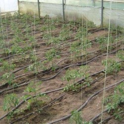Σωλήνας Θέρμανσης Θερμοκηπίου Φ25 100 μέτρα GEOPAL Σωλήνας Θέρμανσης Θερμοκηπίου Φ25 100 μέτρα GEOPAL