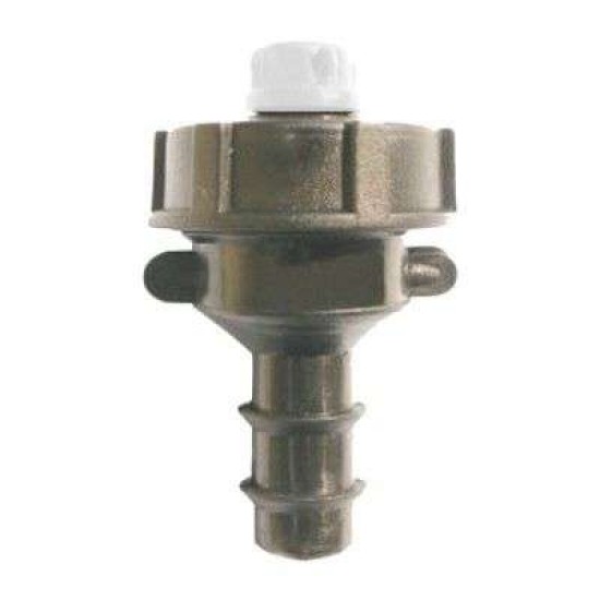 Σπέσιαλ μπεκ μανιτάρι