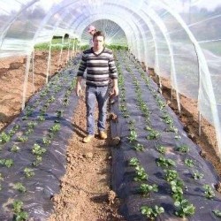 Φίλμ Εδαφοκάλυψης Μαύρο 20μm 1,2μ Χ1000m Φίλμ Εδαφοκάλυψης Μαύρο 20μm 1,2μ Χ1000m