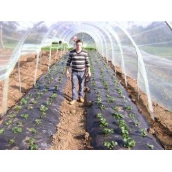 Φίλμ Εδαφοκάλυψης Μαύρο 20μm 1,2μ Χ1000m Φίλμ Εδαφοκάλυψης Μαύρο 20μm 1,2μ Χ1000m