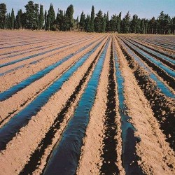 Φύλλο Εδαφοκάλυψης 15gr Μαύρο 0,8Χ1000 μέτρα Φύλλο Εδαφοκάλυψης 15gr Μαύρο 0,8Χ1000 μέτρα