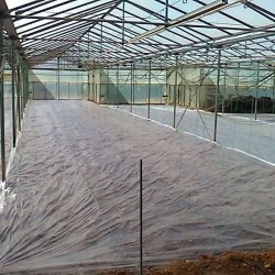 Φιλμ Ηλιοαπολύμανσης "OrgaSun" 30γρ Πλαστικά Κρήτης - Τιμή Τετραγωνικού