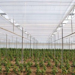 Θερμοκουρτίνα  22 mic 2μ Χ 1000μ