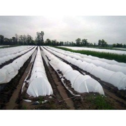 Φύλλο για Τούνελ Χαμηλής - Γραμμικής Κάλυψης ΘΕΡΜΙΚΟ 50gr Eurofilm - Τιμή Κιλού Φύλλο για Τούνελ Χαμηλής - Γραμμικής Κάλυψης ΘΕΡΜΙΚΟ 50gr Eurofilm - Τιμή Κιλού