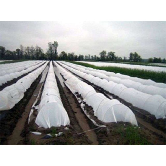 Φύλλο για Τούνελ Χαμηλής - Γραμμικής Κάλυψης ΘΕΡΜΙΚΟ 50gr Eurofilm - Τιμή Κιλού Φύλλο για Τούνελ Χαμηλής - Γραμμικής Κάλυψης ΘΕΡΜΙΚΟ 50gr Eurofilm - Τιμή Κιλού