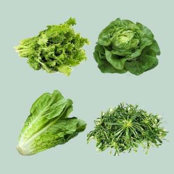 Εδαφοκάλυψη Υφαντή 1μ X 25μ με όπες ανα 20 πόντους, 25 ποντους οι γραμμες Για Αντίδι, Μαρούλι, Σαλάτα Εδαφοκάλυψη Υφαντή 1μ X 25μ με όπες ανα 20 πόντους, 25 ποντους οι γραμμες Για Αντίδι, Μαρούλι, Σαλάτα